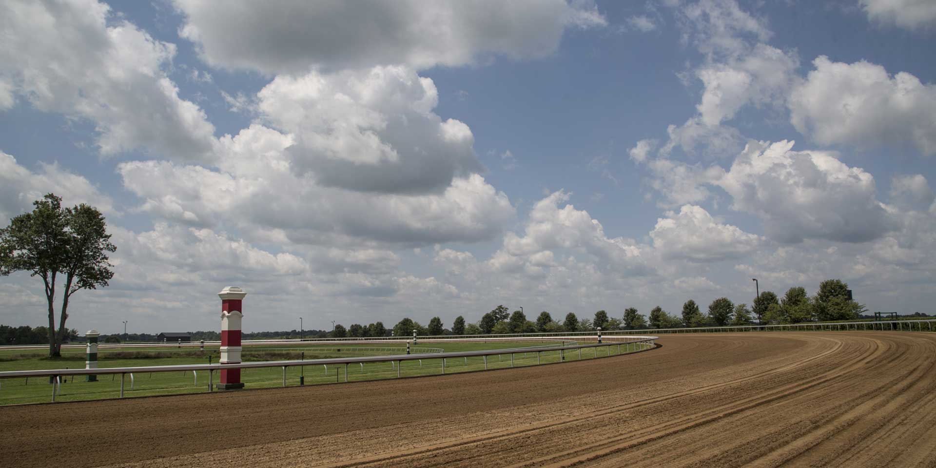 A wide shot of one of Joggingstallion’s dirt tracks.